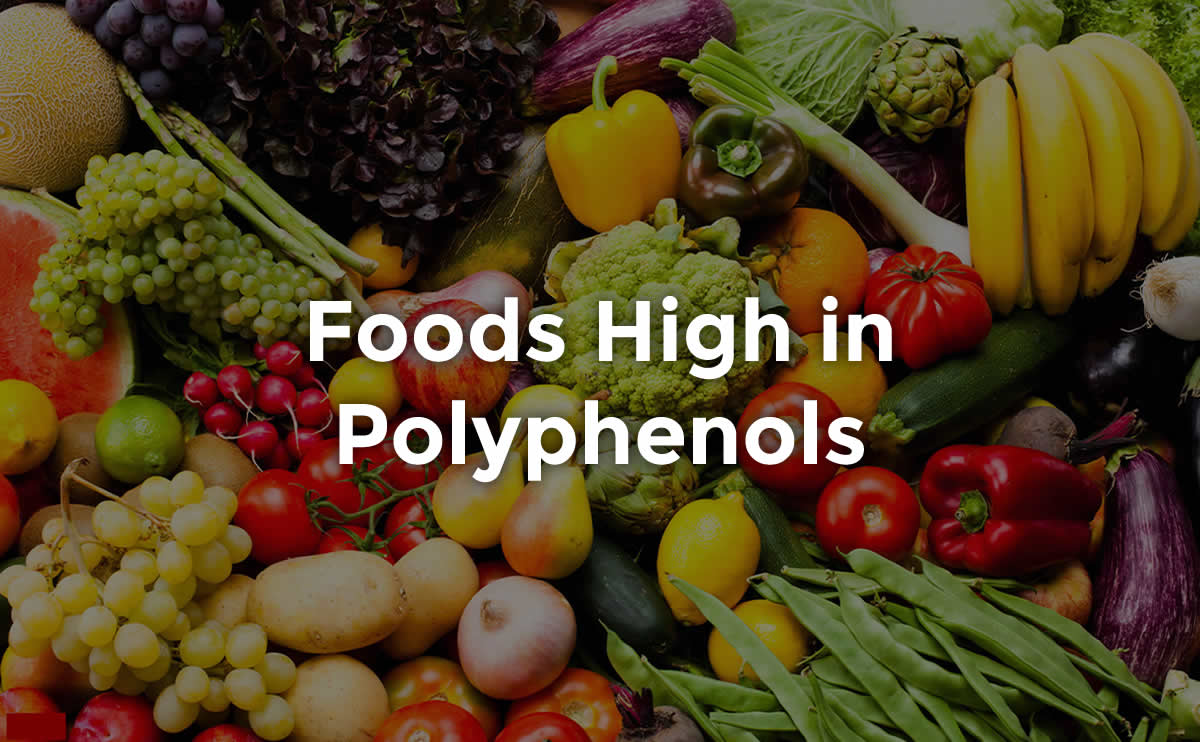polyphenols rich foods options