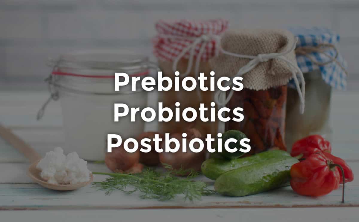 prebiotics probiotics postbiotics food examples