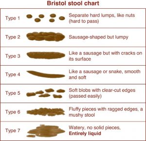 bristol stool chart with 7 types - images and descriptions