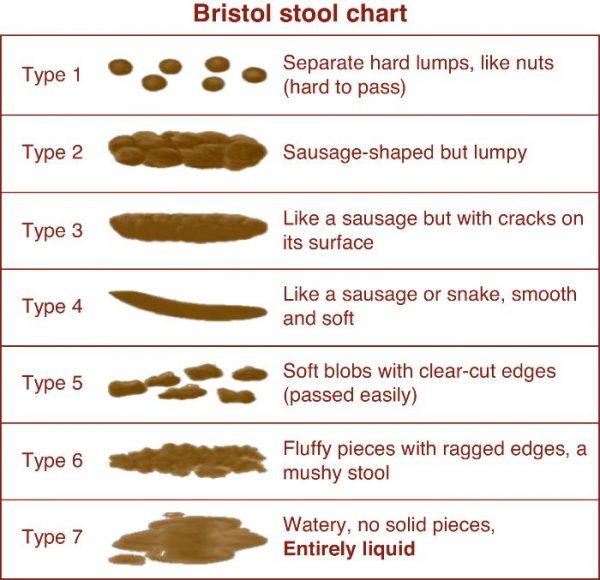 What Does It Mean When Stool Is Soft